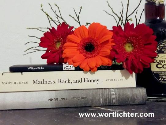 Monatsrückblick Februar 2018